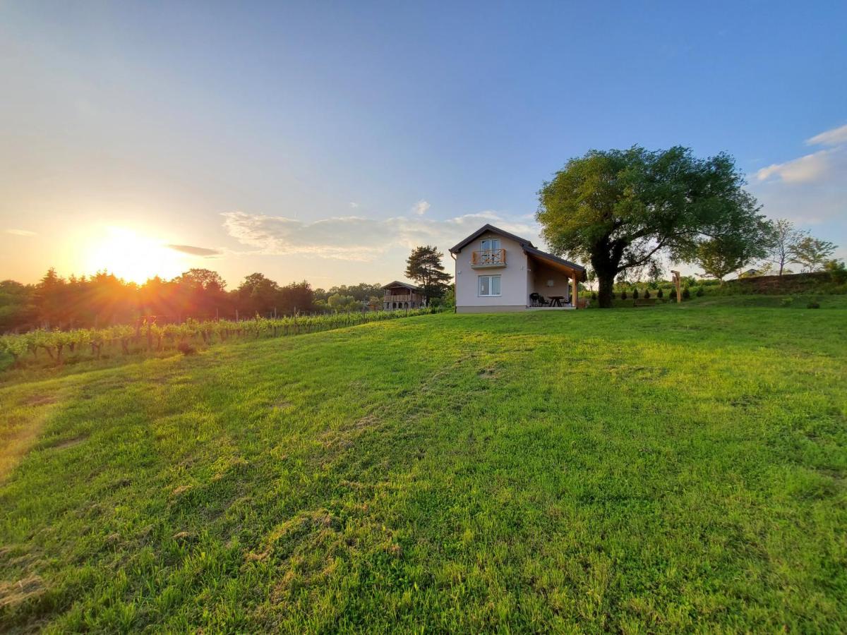 Holiday Home Vinovilla Kutjevo ภายนอก รูปภาพ