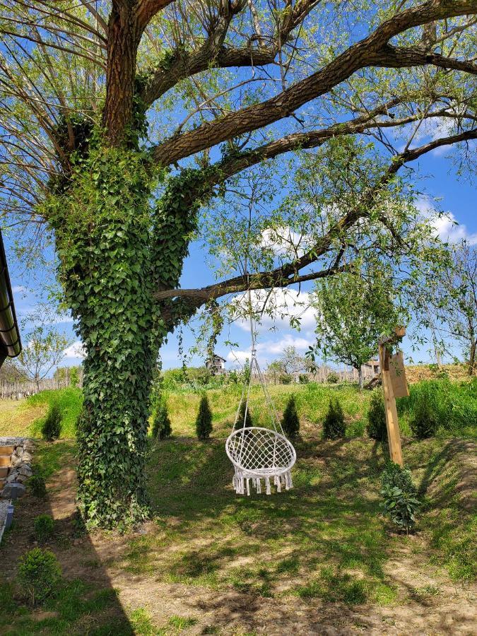 Holiday Home Vinovilla Kutjevo ภายนอก รูปภาพ