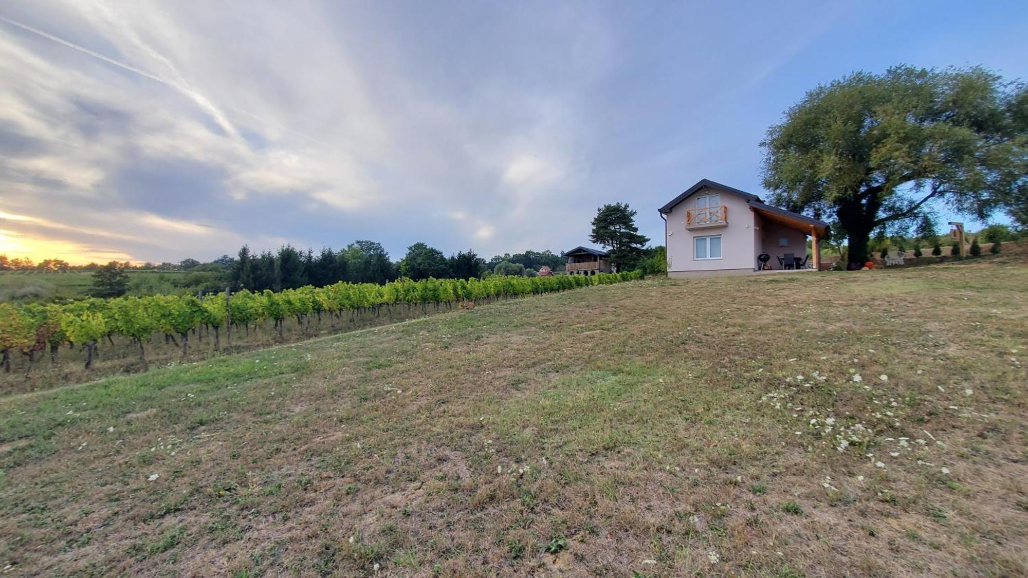 Holiday Home Vinovilla Kutjevo ภายนอก รูปภาพ