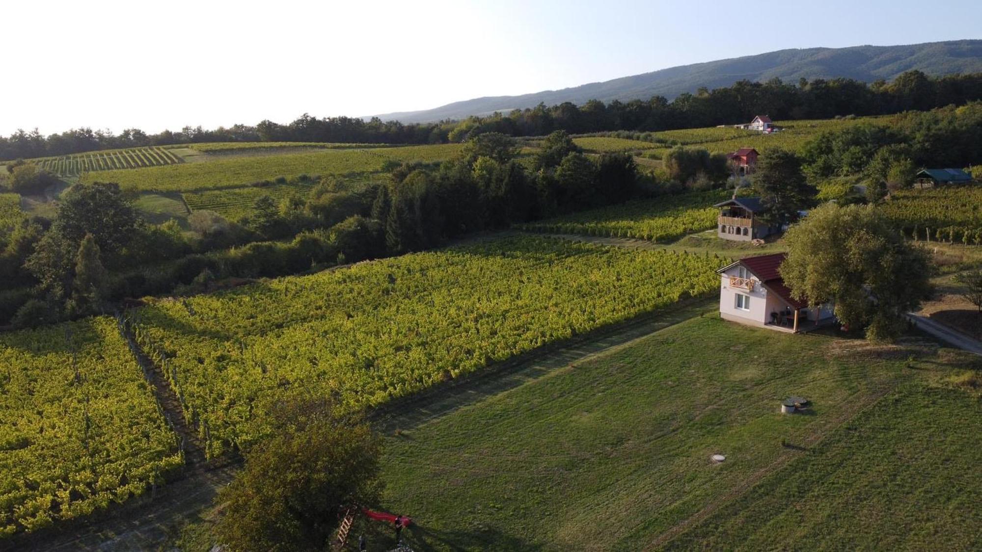 Holiday Home Vinovilla Kutjevo ภายนอก รูปภาพ